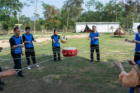 Our Team