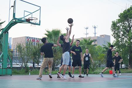 Our Team